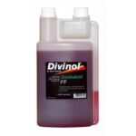 Divinol ulje za dvotaktne motore 1L
