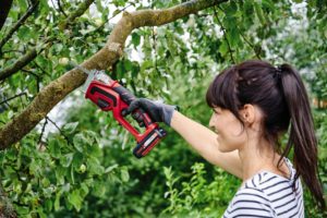 Einhell aku vrtna pila testera Power X-Change GE-GS 18 Li- Solo