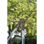 Gardena makaze škare za orezivanje grana Classic 480B