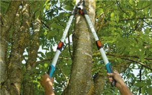 Gardena teleskopske makaze škare za orezivanje grana 650-900 BT