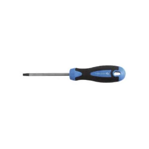 HOEGERT šestokraki torx odvijač S2 HT1S053 T10x100mm