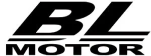 BL motor mark