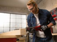 Einhell recipročna pila lisičji rep TE-AP 950 E