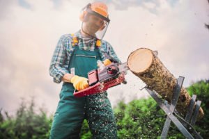 Einhell aku lančana pila testera Power X-Change GE-LC 36/35 Li-Solo 36V