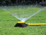 Karcher multifunkcionalna prskalica za zalivanje MS 100