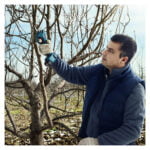 Bosch aku makaze za orezivanje grana Pro Pruner Professional