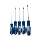 RAXX 5-dijelni set TORX odvijača 1247378