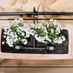 Karcher komplet za navodnjavanje saksijskog bilja