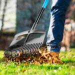 Cellfast velike grabulje za lišće IDEAL PRO