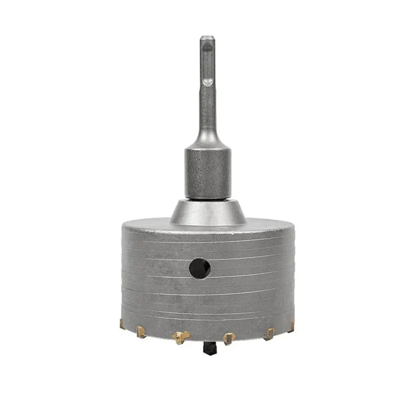 Richmann SDS Plus kruna za beton ciglu 65mm C8260