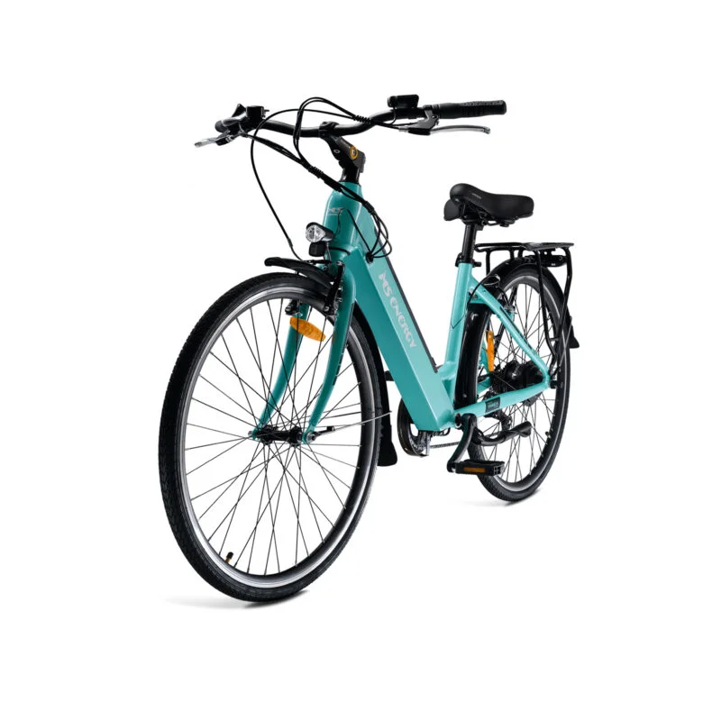 MS ENERGY eBike c10