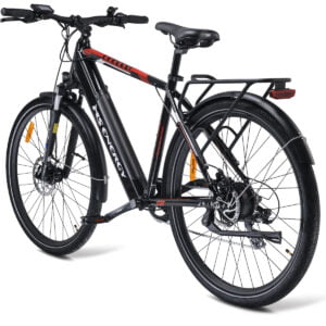 MS ENERGY eBike t10