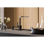 Alveus slavina MONARCH