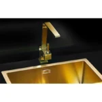 Alveus slavina MONARCH