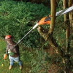 Black+Decker 18V aku trimer za travu ST1823 (Kopiraj)